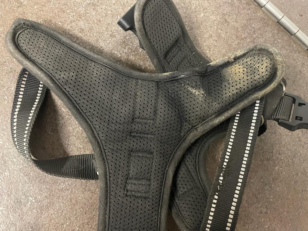 harness